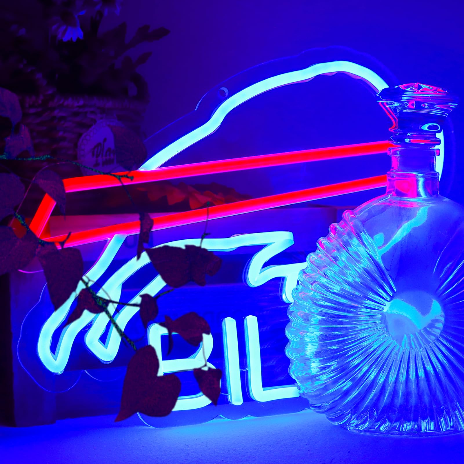 Coors LIGHT Neon Signs